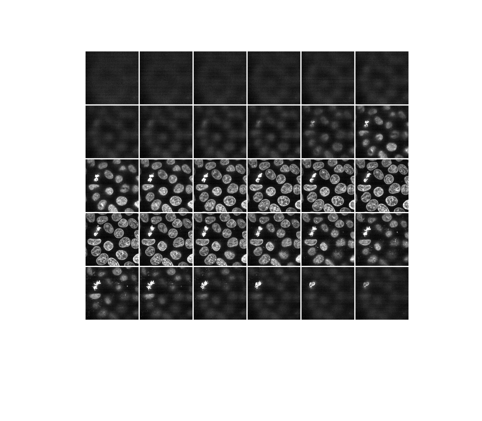 plot 3d image processing