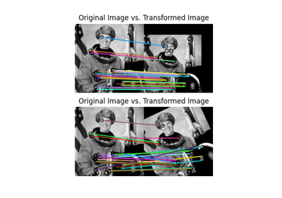 skimage.feature — skimage 0.24.0 文件 - scikit-image 繁體中文