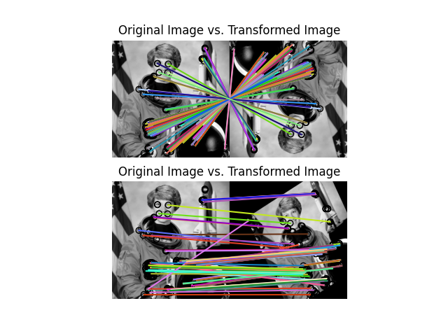 Original Image vs. Transformed Image, Original Image vs. Transformed Image