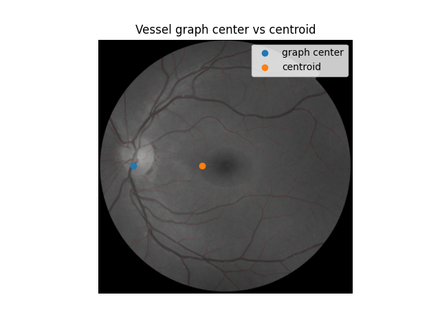 Vessel graph center vs centroid