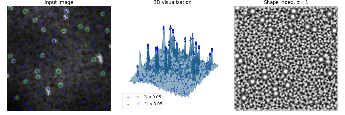 Input image, 3D visualization, Shape index, $\sigma=1$